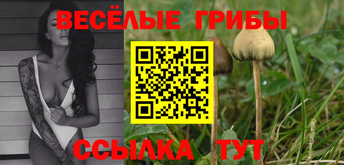 Псилоцибиновые грибы Psilocybine cubensis  Вход с VPN  Котельники 