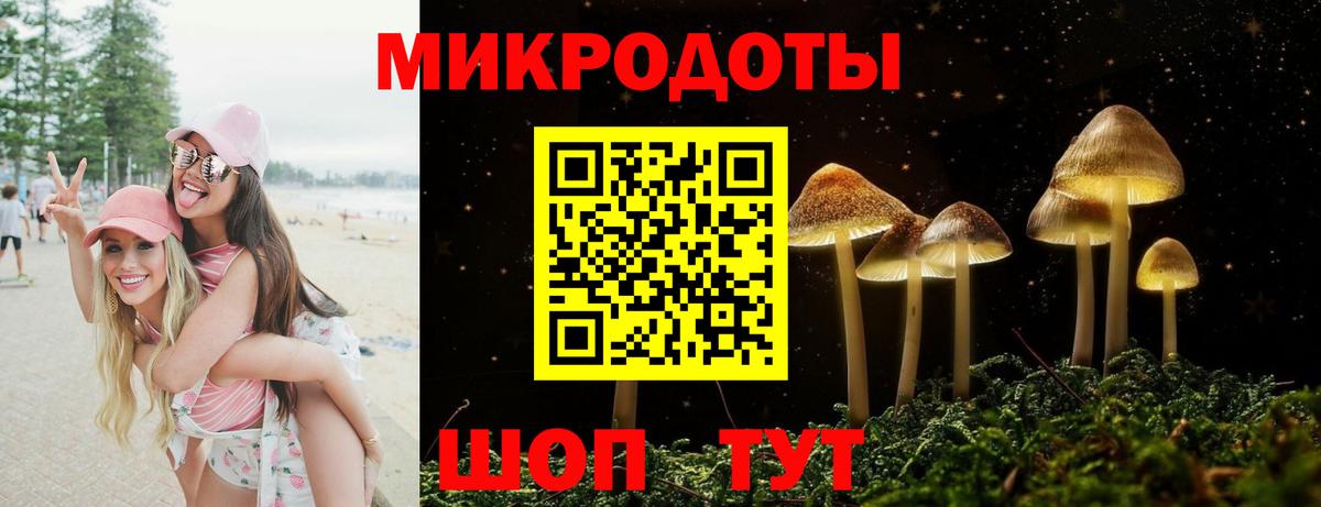 Галлюциногенные грибы мицелий Котельники